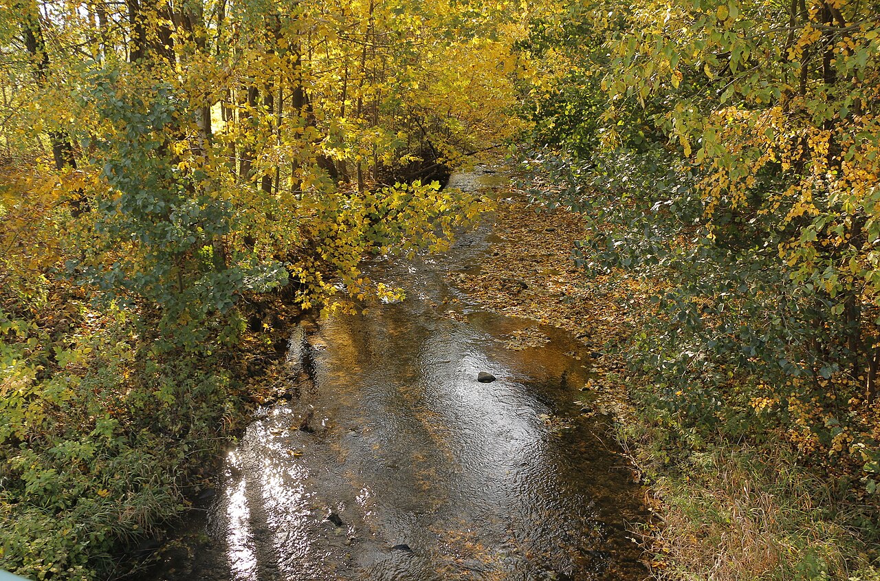 Morava (river)